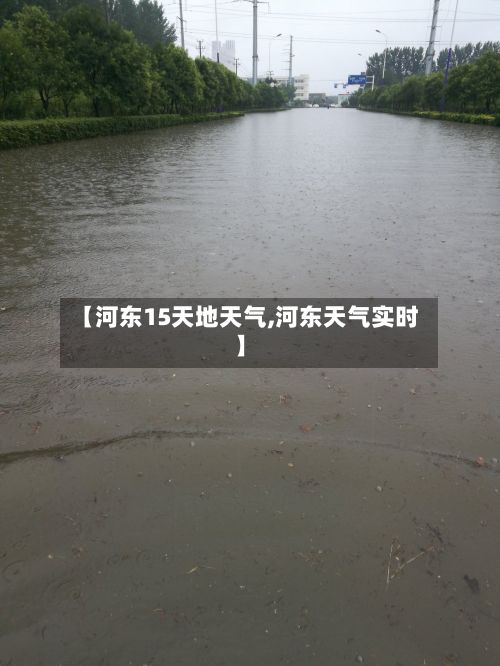 【河东15天地天气,河东天气实时】-第3张图片