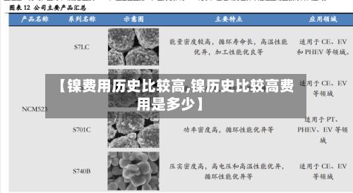 【镍费用历史比较高,镍历史比较高费用是多少】