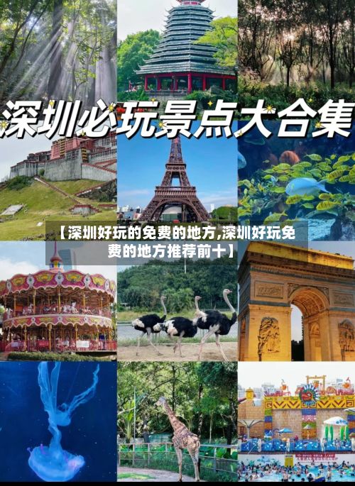 【深圳好玩的免费的地方,深圳好玩免费的地方推荐前十】-第2张图片