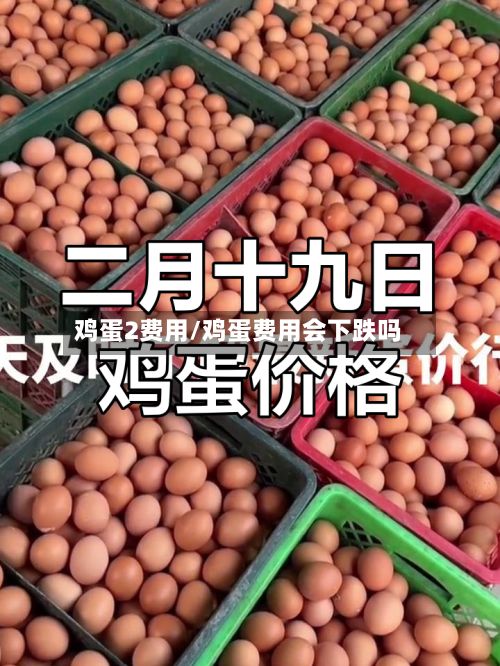 鸡蛋2费用/鸡蛋费用会下跌吗