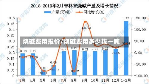 烧碱费用报价/烧碱费用多少钱一吨