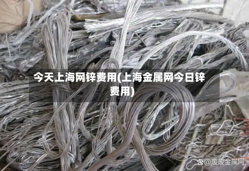 今天上海网锌费用(上海金属网今日锌费用)