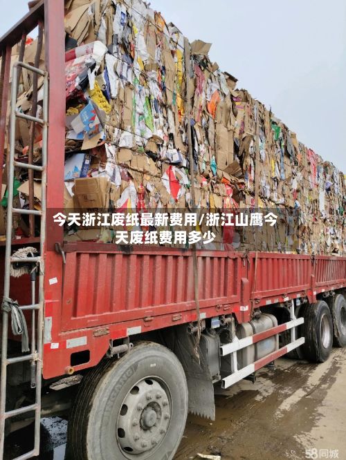 今天浙江废纸最新费用/浙江山鹰今天废纸费用多少-第3张图片