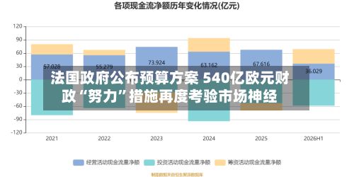 法国政府公布预算方案 540亿欧元财政“努力”措施再度考验市场神经-第3张图片