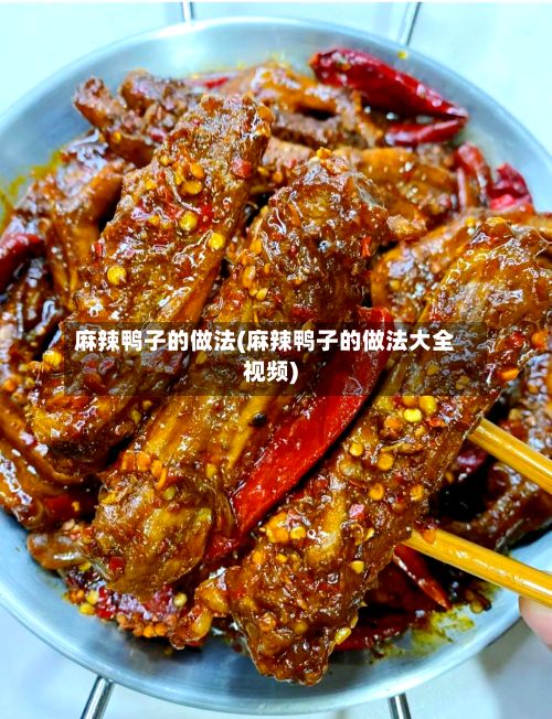 麻辣鸭子的做法(麻辣鸭子的做法大全视频)-第2张图片