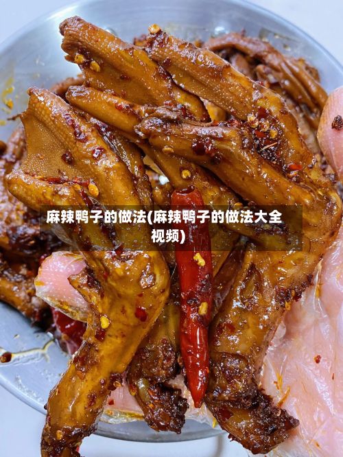 麻辣鸭子的做法(麻辣鸭子的做法大全视频)-第3张图片