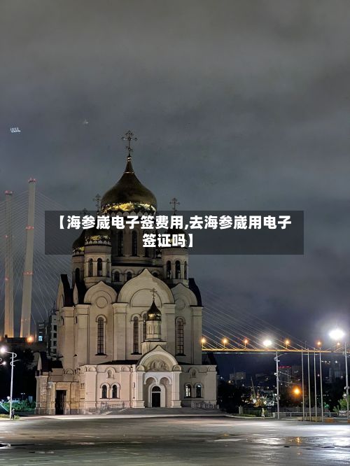 【海参崴电子签费用,去海参崴用电子签证吗】