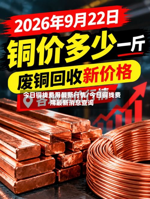 今日铜线费用最新行情/今日铜线费用最新消息查询-第2张图片