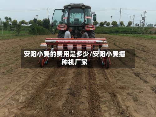 安阳小麦的费用是多少/安阳小麦播种机厂家-第2张图片