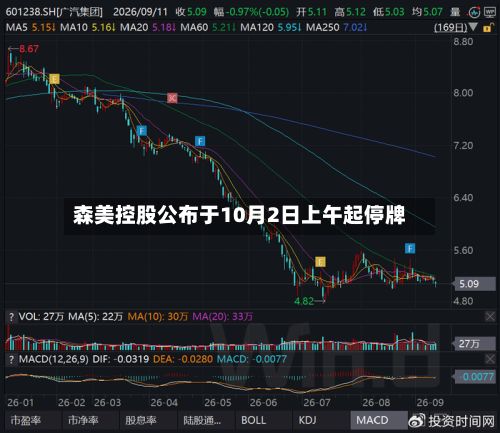 森美控股公布于10月2日上午起停牌-第1张图片