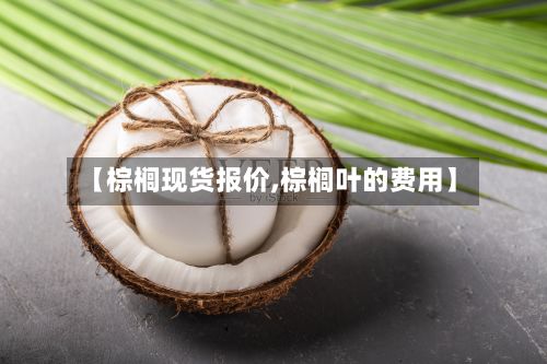 【棕榈现货报价,棕榈叶的费用】