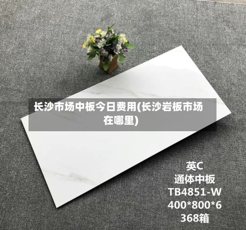 长沙市场中板今日费用(长沙岩板市场在哪里)