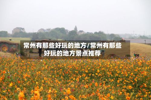 常州有那些好玩的地方/常州有那些好玩的地方景点推荐