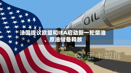 法国提议欧盟和IEA启动新一轮柴油、原油储备释放-第2张图片