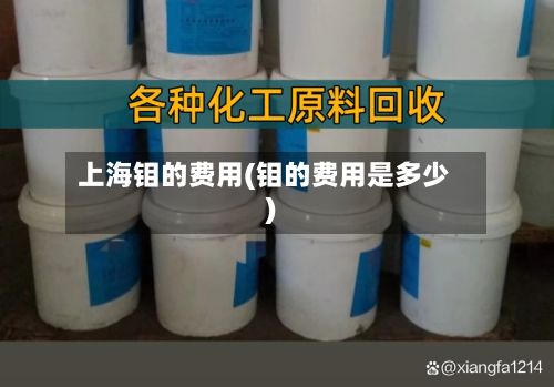 上海钼的费用(钼的费用是多少)-第2张图片