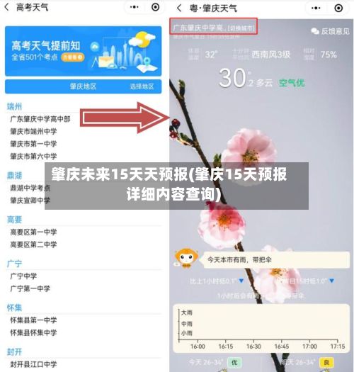 肇庆未来15天天预报(肇庆15天预报详细内容查询)-第2张图片