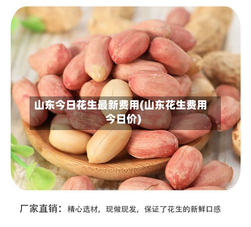 山东今日花生最新费用(山东花生费用今日价)-第2张图片