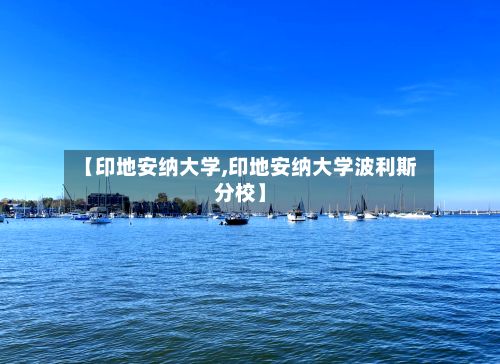 【印地安纳大学,印地安纳大学波利斯分校】