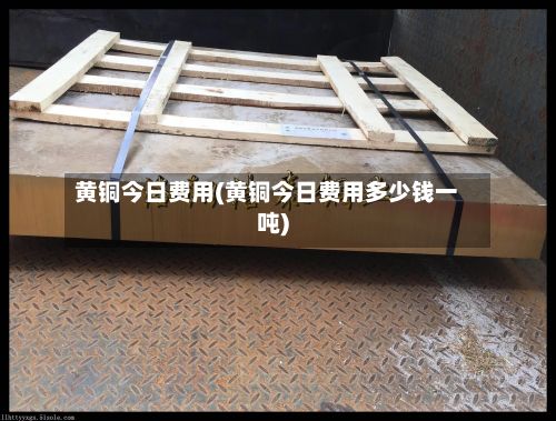 黄铜今日费用(黄铜今日费用多少钱一吨)-第2张图片