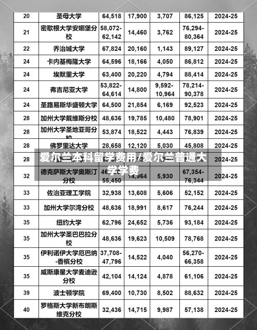 爱尔兰本科留学费用/爱尔兰普通大学学费