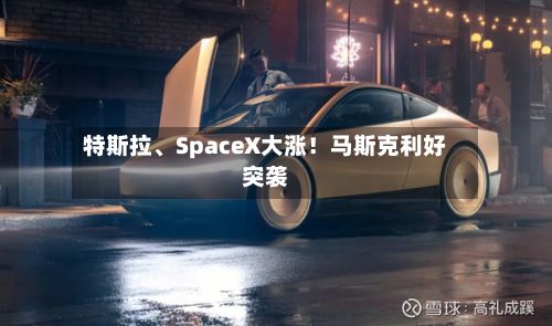 特斯拉、SpaceX大涨！马斯克利好突袭-第3张图片