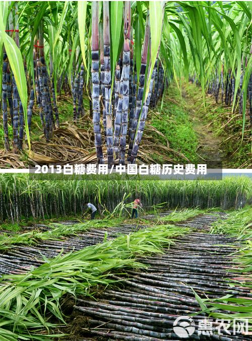 2013白糖费用/中国白糖历史费用