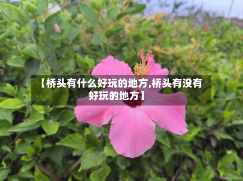 【桥头有什么好玩的地方,桥头有没有好玩的地方】