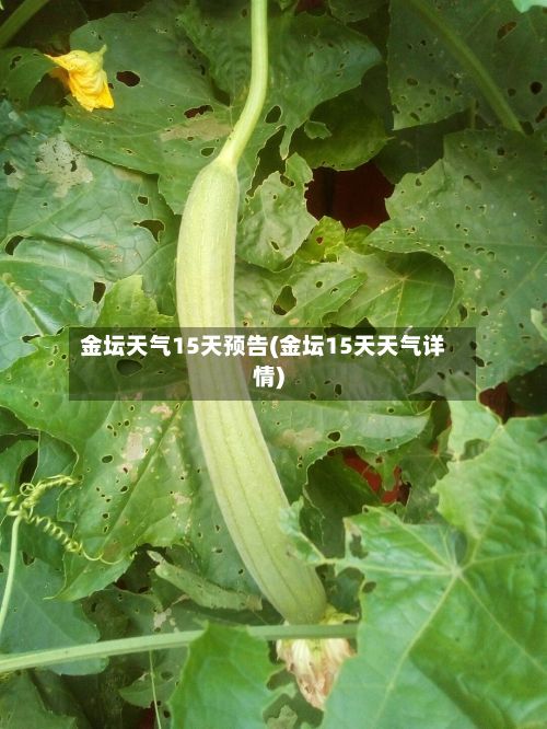 金坛天气15天预告(金坛15天天气详情)-第2张图片