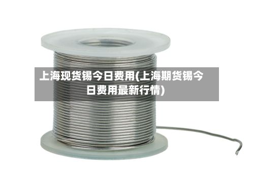 上海现货锡今日费用(上海期货锡今日费用最新行情)