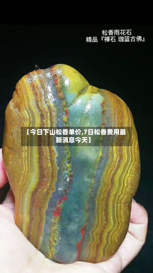 【今日下山松香单价,7日松香费用最新消息今天】