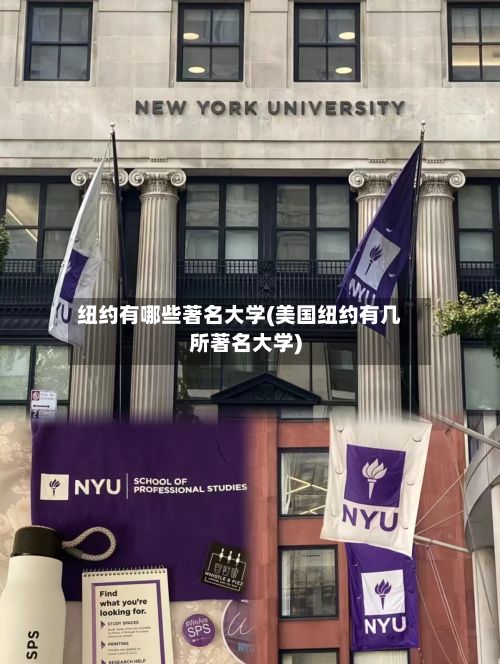 纽约有哪些著名大学(美国纽约有几所著名大学)-第3张图片