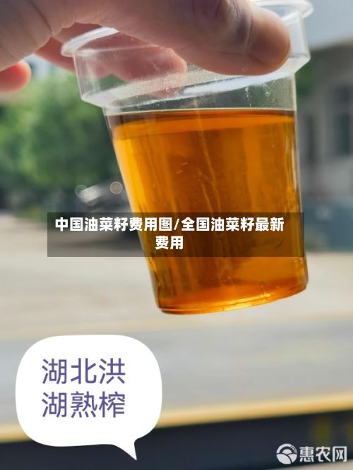 中国油菜籽费用图/全国油菜籽最新费用