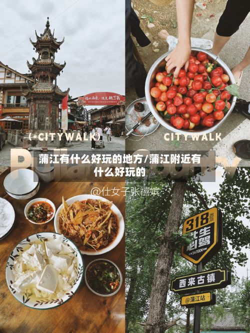 蒲江有什么好玩的地方/蒲江附近有什么好玩的-第3张图片
