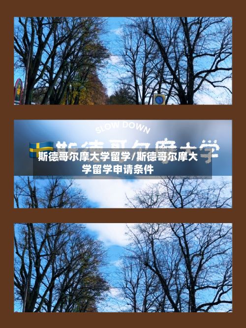 斯德哥尔摩大学留学/斯德哥尔摩大学留学申请条件-第2张图片