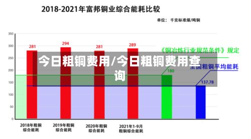 今日粗铜费用/今日粗铜费用查询-第3张图片