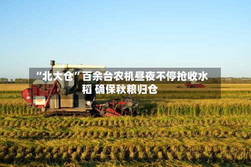 “北大仓”百余台农机昼夜不停抢收水稻 确保秋粮归仓