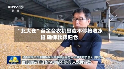 “北大仓”百余台农机昼夜不停抢收水稻 确保秋粮归仓-第2张图片
