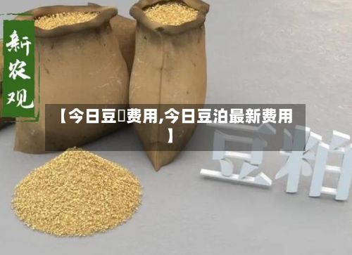 【今日豆粨费用,今日豆泊最新费用】