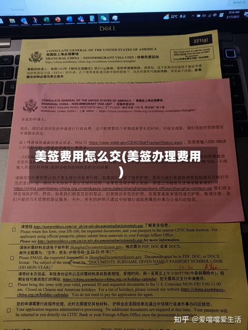 美签费用怎么交(美签办理费用)-第3张图片