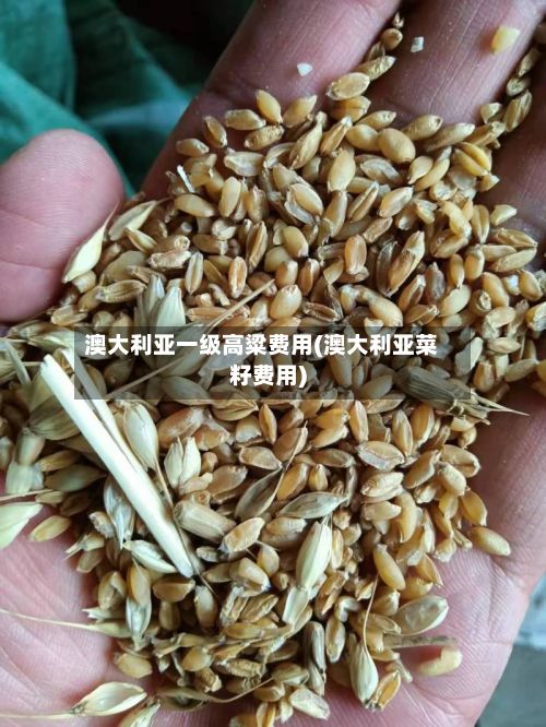 澳大利亚一级高粱费用(澳大利亚菜籽费用)