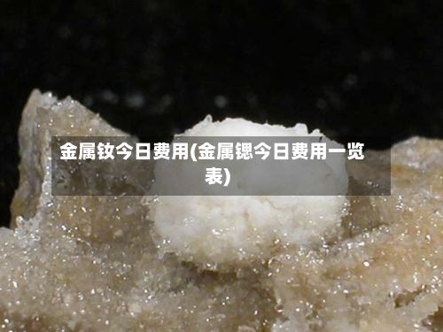 金属钕今日费用(金属锶今日费用一览表)-第2张图片