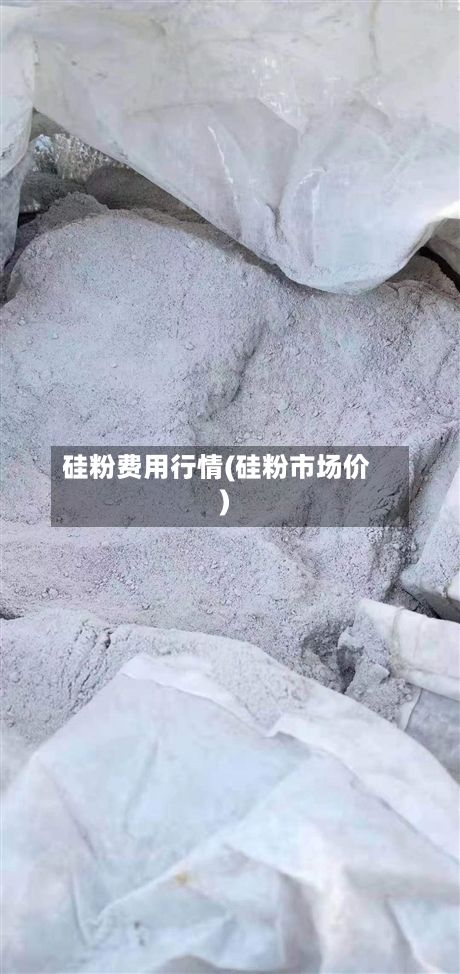 硅粉费用行情(硅粉市场价)-第2张图片
