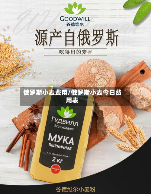 俄罗斯小麦费用/俄罗斯小麦今日费用表-第2张图片