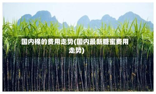 国内棉的费用走势(国内最新糖蜜费用走势)-第2张图片
