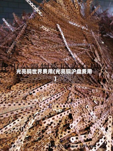 光亮铜世界费用(光亮铜沪盘费用)-第2张图片