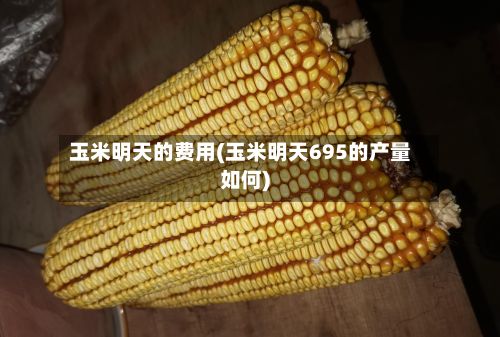 玉米明天的费用(玉米明天695的产量如何)
