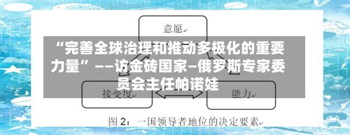 “完善全球治理和推动多极化的重要力量” ——访金砖国家—俄罗斯专家委员会主任帕诺娃-第2张图片