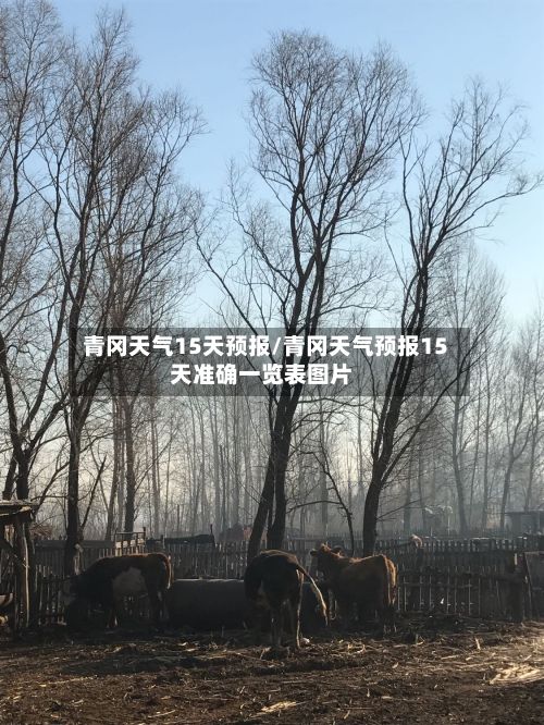 青冈天气15天预报/青冈天气预报15天准确一览表图片