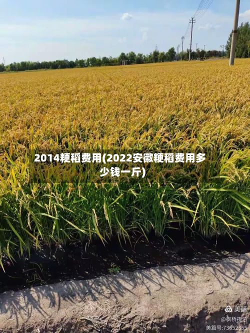 2014粳稻费用(2022安徽粳稻费用多少钱一斤)-第2张图片