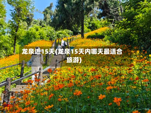 龙泉近15天(龙泉15天内哪天最适合旅游)